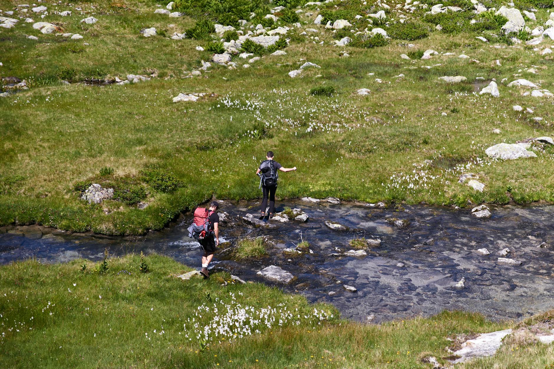Dwóch turystów przechodzi przez górski potok na alpejskiej łące