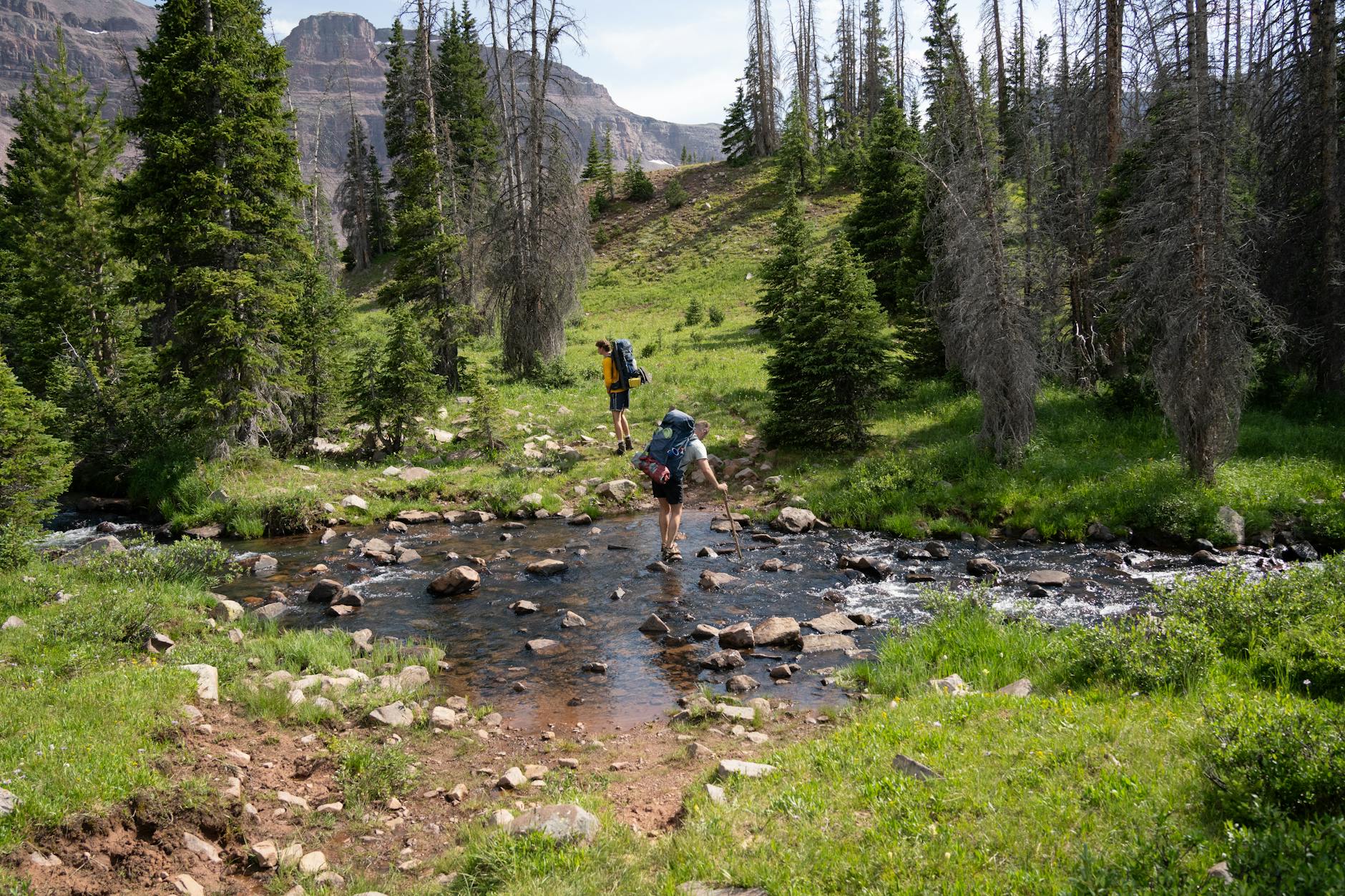 Dwójka turystów przechodzi przez potok w lesie u podnóża gór