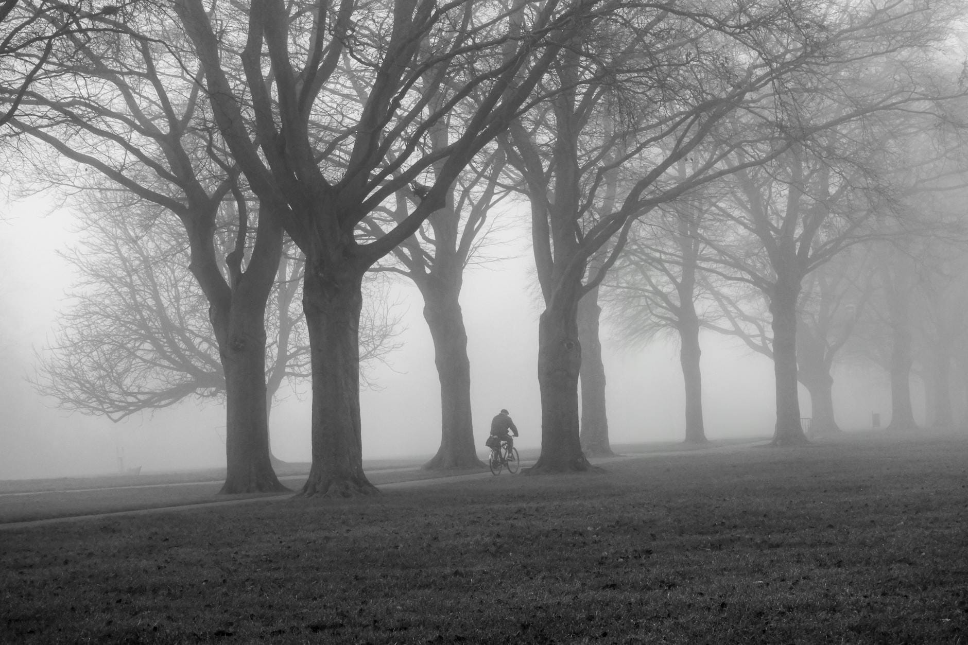 Rowerzysta jedzie samotnie we mgle przez park z nagimi drzewami