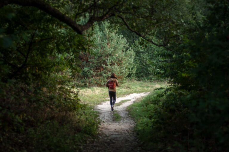 Turysta z plecakiem idzie leśnym